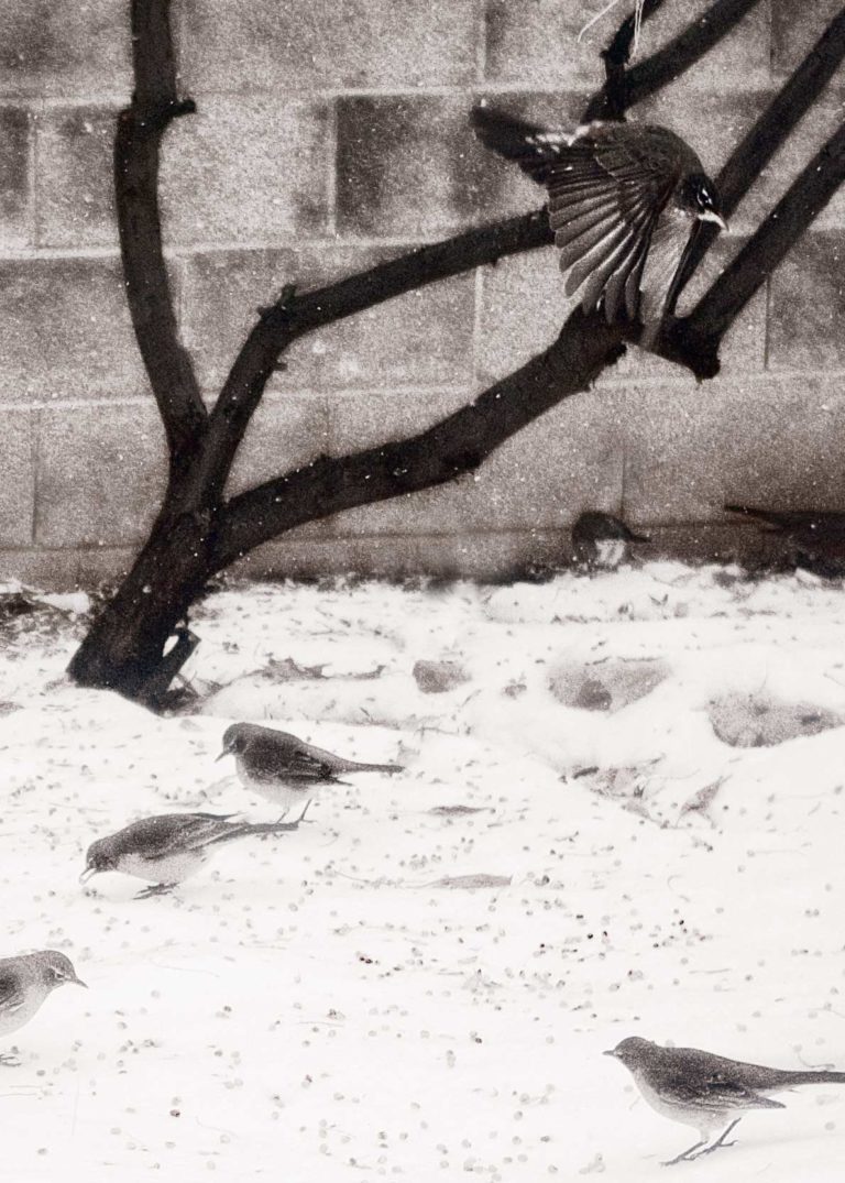 'Under the Olive Tree', photograph by artist and creative Jamie Berry